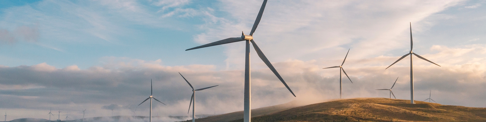 Energy and Natural Resources