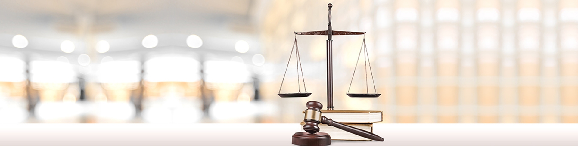 Government and Not for Profit